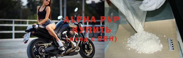 прущие грибы Усолье-Сибирское