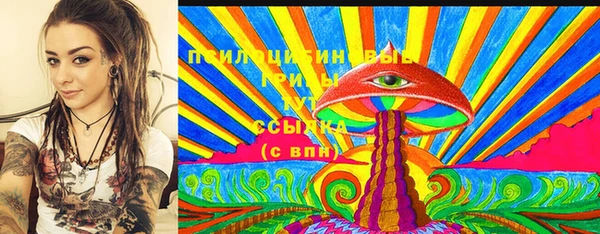 стаф Володарск